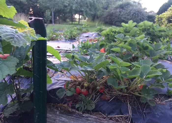 La Moriniere Teloché